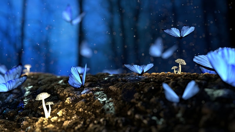 Dream Forest